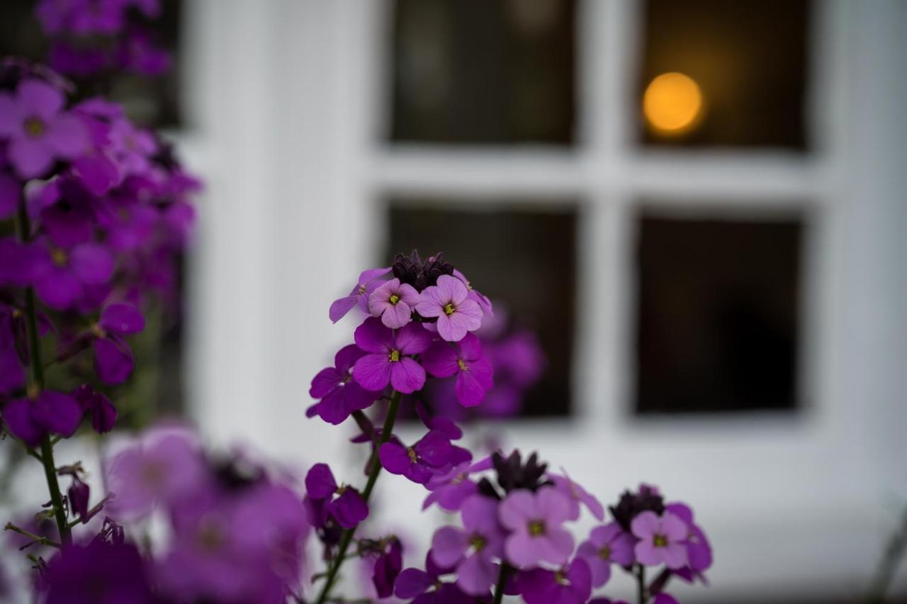 Findon Manor Hotel Bagian luar foto